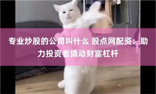 專業炒股的公司叫什么 股點網配資:助力投資者撬動財富杠桿